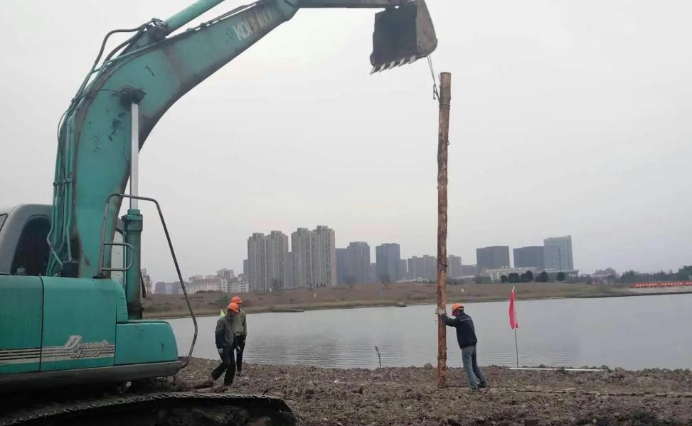 松木樁為什么要做質量驗收,松木樁施工質量驗收規范有哪些？