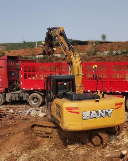 <a href=http://m.jlpx.com.cn/ target=_blank class=infotextkey>松木樁</a>原木